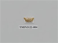 藏品(螟蛾227)的圖片